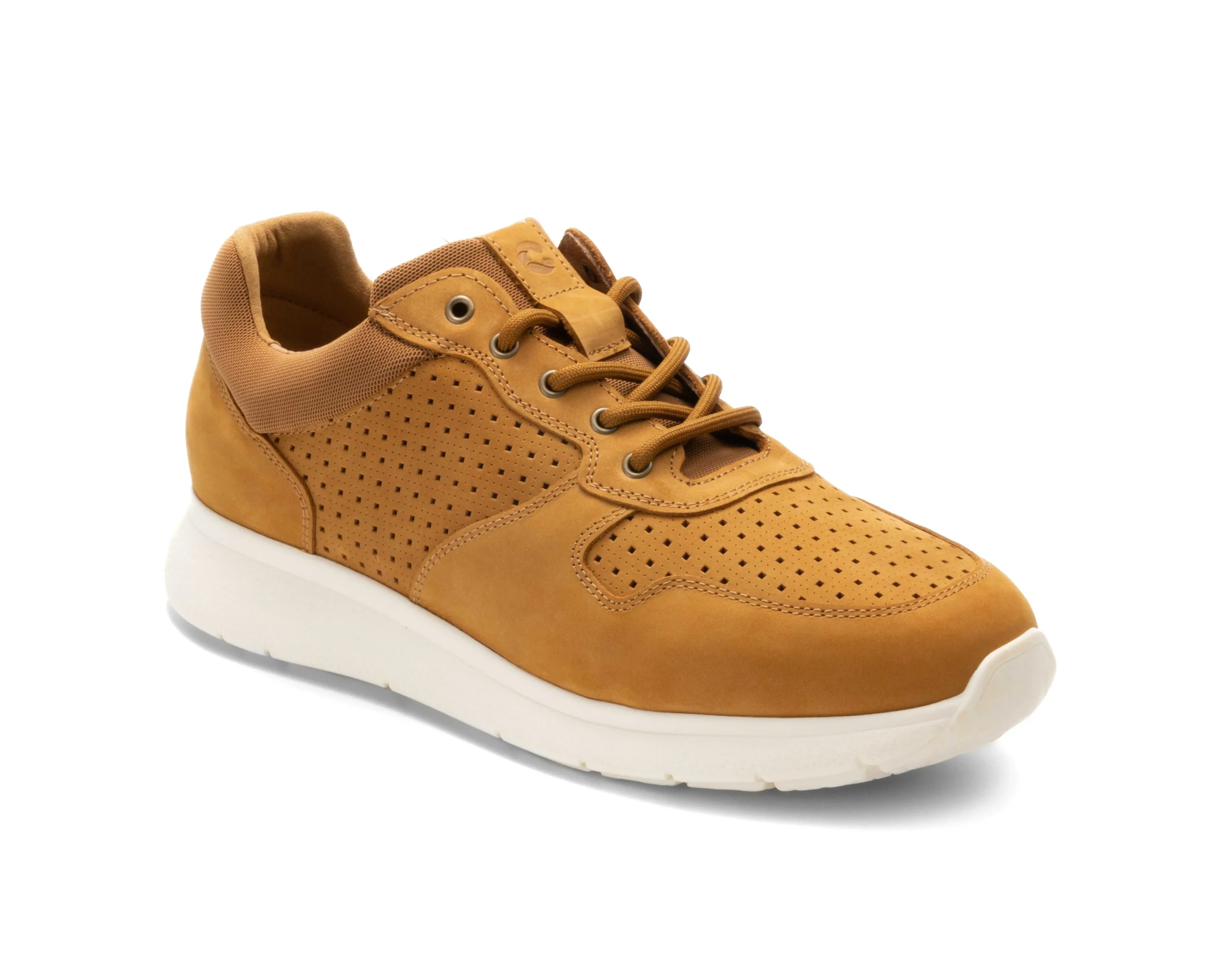 Sapatilhas^Camport Sapatilha Sneaker Hit Camel