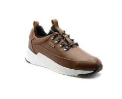 Sapatilhas^Camport Sapatilhas Havre Castanho