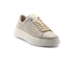 Sapatilhas^Camport Sapatilhas Shoesn Read