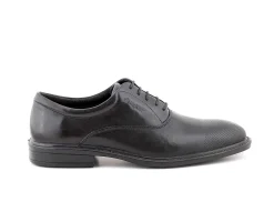 Sapatos^Camport Sapato New Nobleman Preto Midnight
